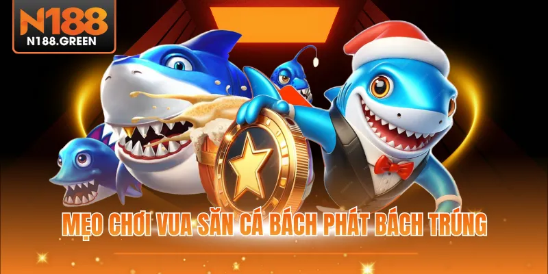 Mẹo chơi Vua Săn Cá đảm bảo bách phát bách trúng